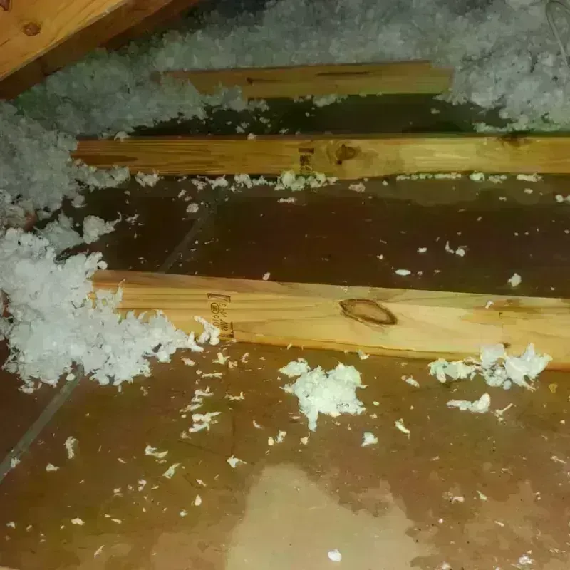 Attic Water Damage in Cedar Rapids, IA