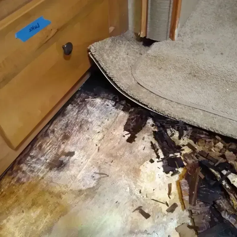 Wood Floor Water Damage in Cedar Rapids, IA